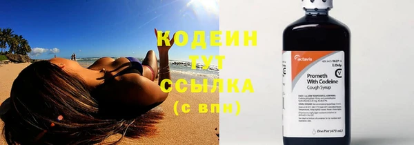 прущие грибы Арсеньев