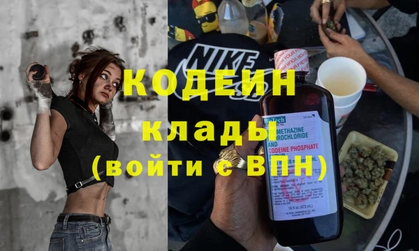 прущие грибы Арсеньев