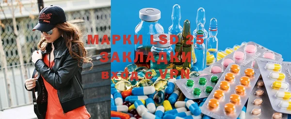 прущие грибы Арсеньев