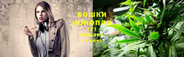прущие грибы Арсеньев