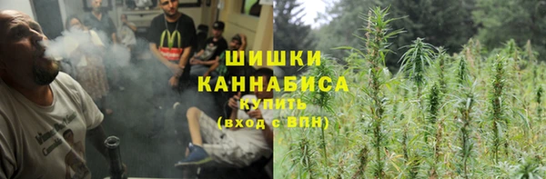 apvp Семёнов