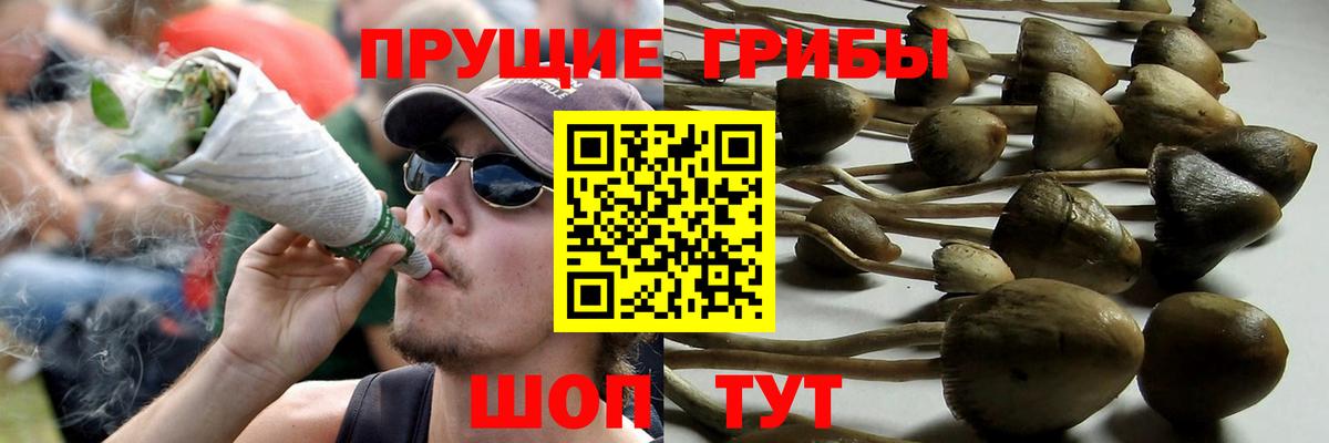 Галлюциногенные грибы Magic Shrooms  Галлюциногенные грибы MAGIC MUSHROOMS  Барабинск  Вход с VPN 