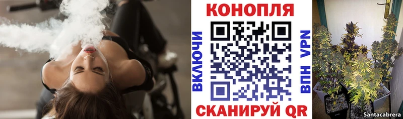 Каннабис план Барабинск